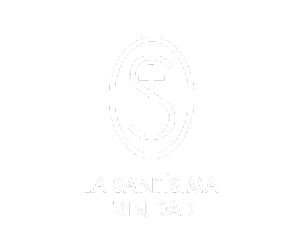 santisimatrinidad-mexico